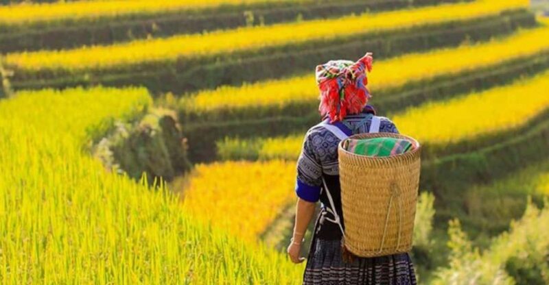 Hanoi 5-Day Trip : Sapa-Ninh Binh-Halong Bay 5-Stars Cruise - Itinerary Highlights