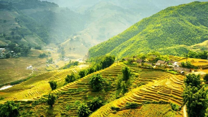 Hanoi 5-Day Trip : Sapa-Ninh Binh-Halong Bay 5-Stars Cruise - Local Culture Immersion
