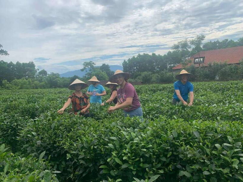 Hanoi: Bavi Eco Tour. Authentic, Local Life & Non Touristy - Preparation and Recommendations