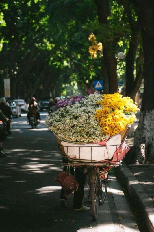Hanoi: City Highlights Tour With Train Street & Hidden Gems - Key Points