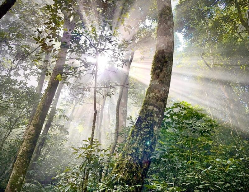 HANOI - CUC PHUONG NATIONAL PARK - Tour Details and Itinerary