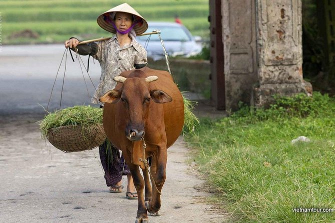 Hanoi: Duong Lam Historical Village Private Day Tour - Visiting a Local Temple