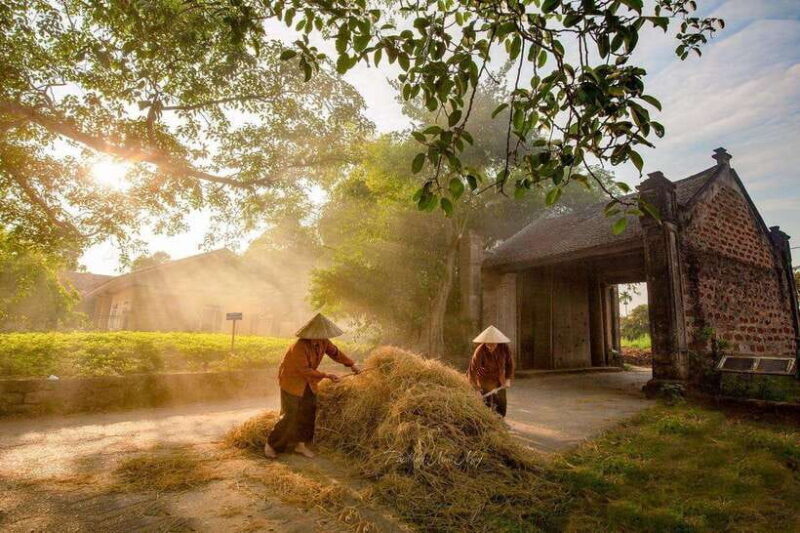 Hanoi: Duong Lam Village Tour & Learn About the Countryside - Key Points