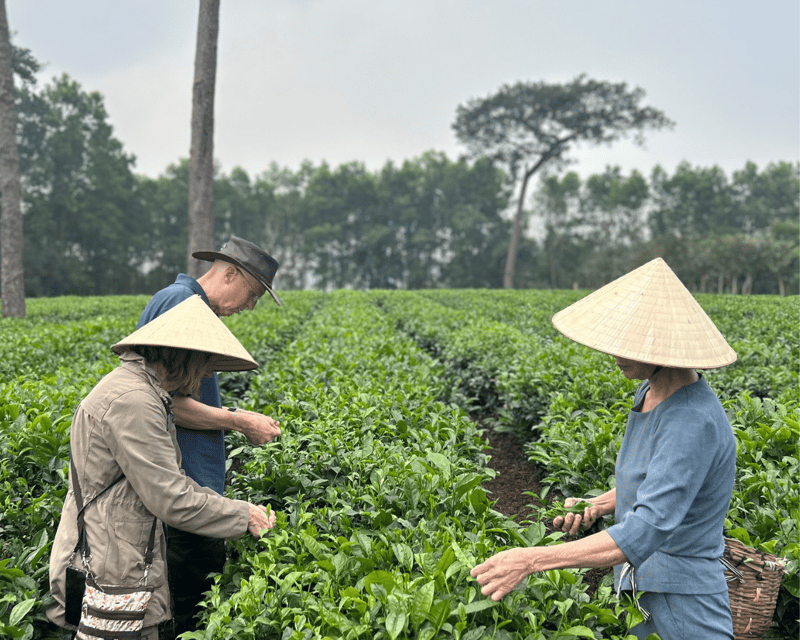 Hanoi Eco Tour: Ba Vi National Park Wonders & Tea Plantation - Key Points