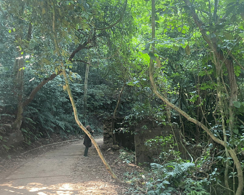 Hanoi Eco Tour: Ba Vi National Park Wonders & Tea Plantation - Historical Exploration