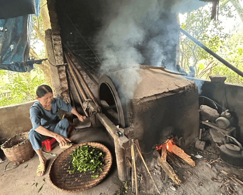 Hanoi Eco Tour: Ba Vi National Park Wonders & Tea Plantation - Cultural Experience
