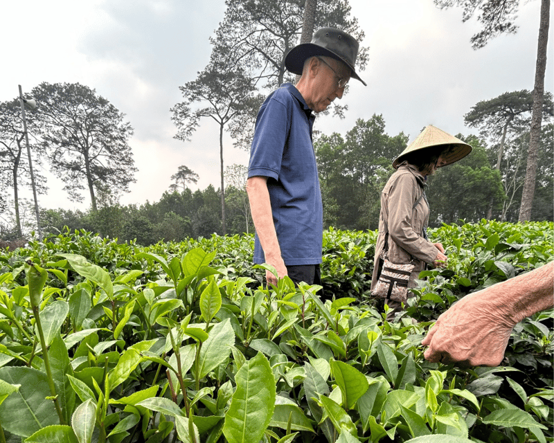 Hanoi Eco Tour: Ba Vi National Park Wonders & Tea Plantation - Spiritual Visit