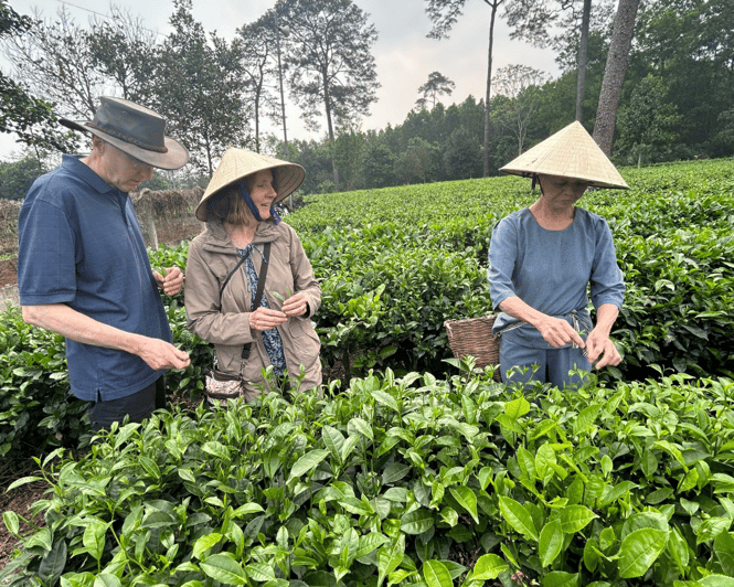 Hanoi Eco Tour: Ba Vi National Park Wonders & Tea Plantation - Customer Reviews and Ratings