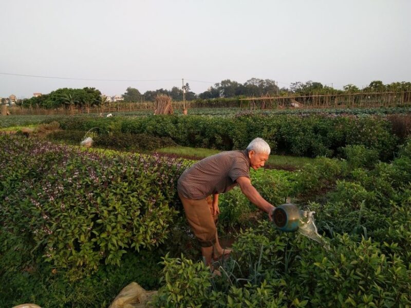 Hanoi Farm Tour and Cooking Class With Local Family - Booking and Cancellation
