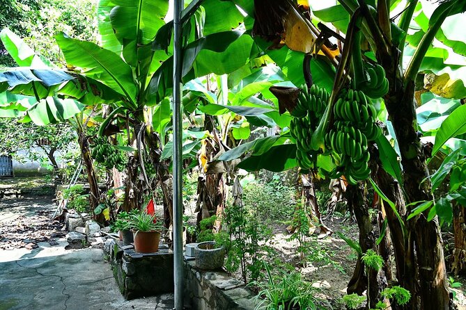 Hanoi Full Day A Private Tour With Mix of History and Activities - Booking Details