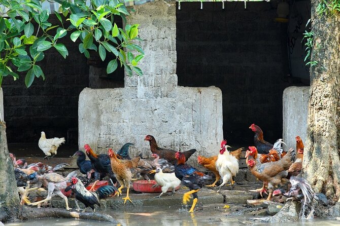 Hanoi Full Day A Private Tour With Mix of History and Activities - Historic Sites Exploration