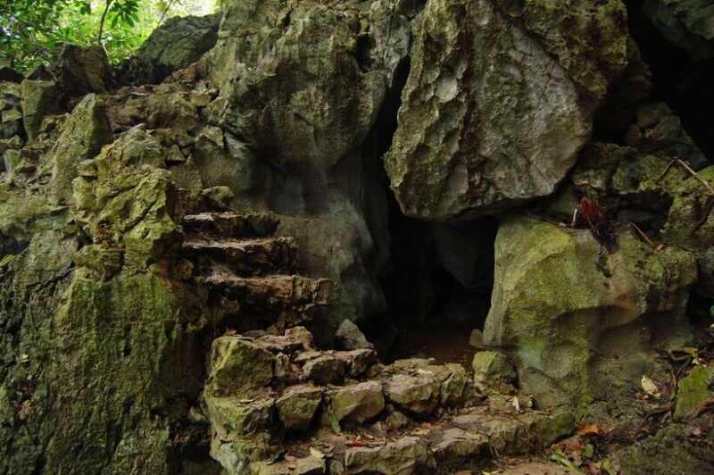 Hanoi: Full-day Cuc Phuong National Park Eco-adventure - The Cave of Early Man