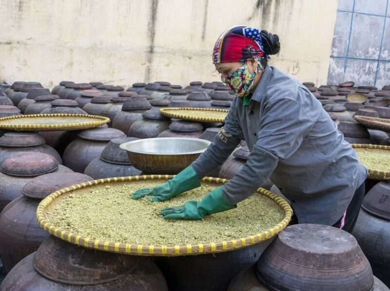 Hanoi: Guided Full-Day Bamboo Fish Trap & Soy Sauce Villages - Key Activities