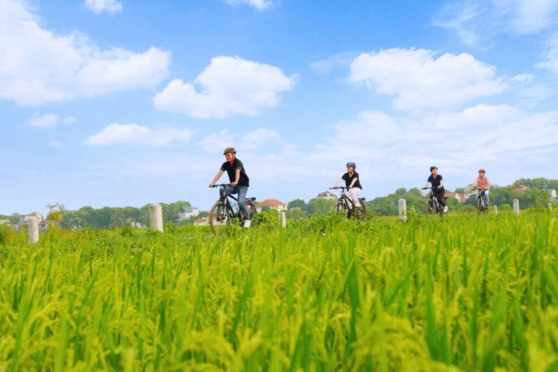 Hanoi: Guided Full-Day Hoa Lu, Trang An and Mua Cave Tour - Trang An Scenic Landscape