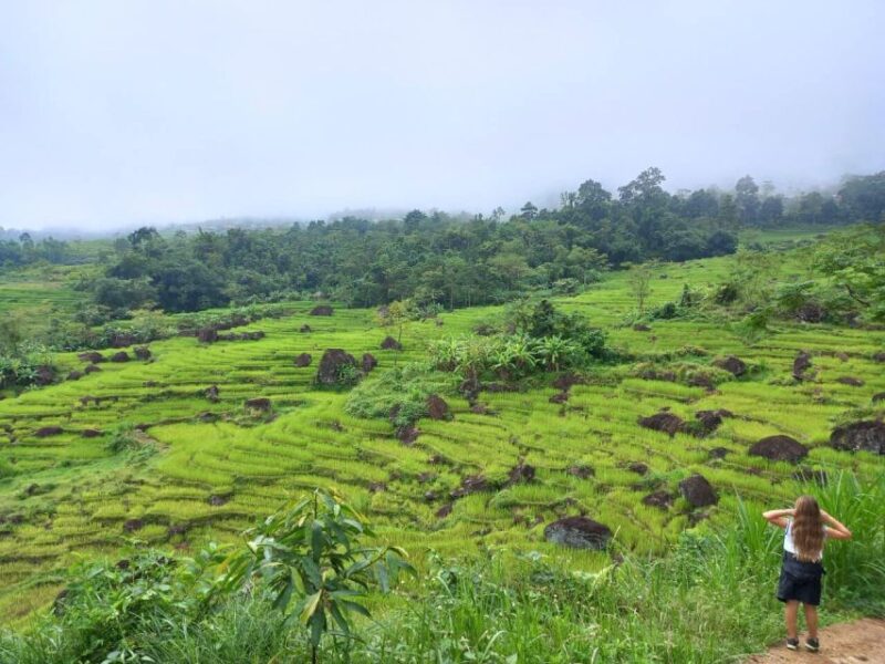 Hanoi: Guided Full-Day Mai Chau Biking With Lunch & Tranfers - Included Services