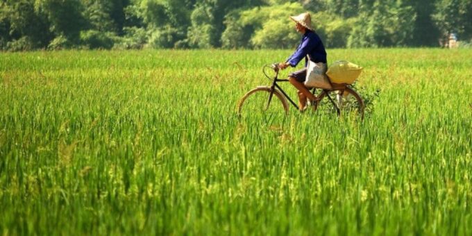 Hanoi: Guided Full-Day Mai Chau Biking With Lunch & Tranfers - Accessibility Restriction