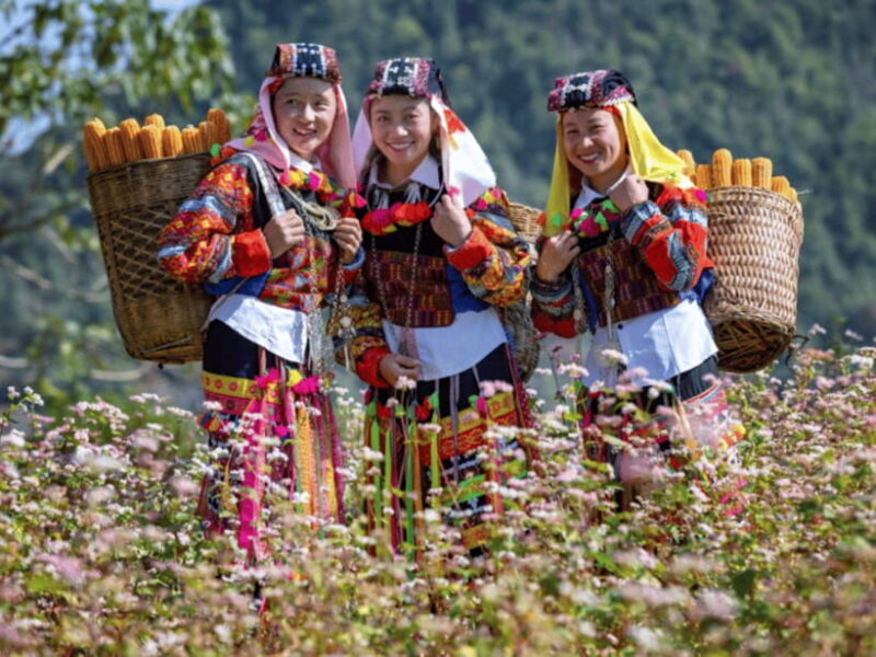 Hanoi: Ha Giang Loop Tour 3 Days 2 Nights With Easy Rider - Day 1: Exploring Bac Sum Pass and Lung Tam Village