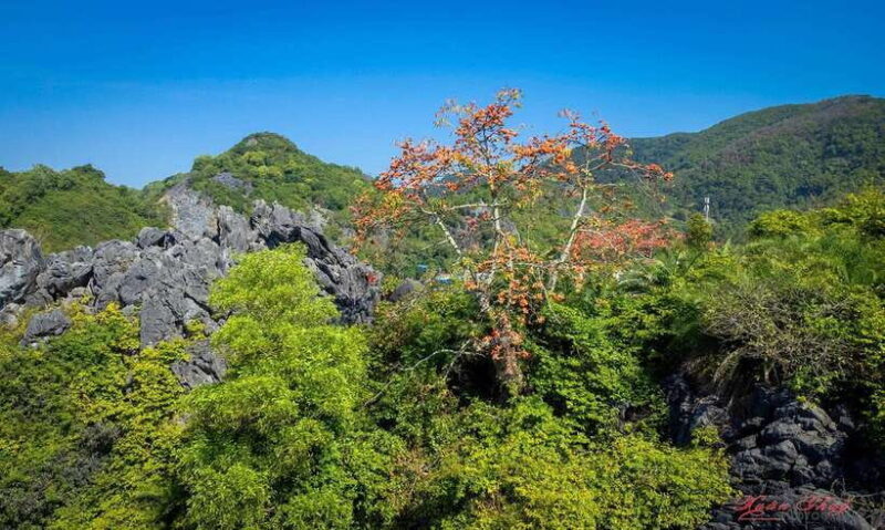Hanoi: Ha Long Bay & Catba Island 3-Day With Boutique Cruise - Frequently Asked Questions