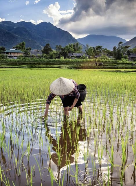 Hanoi: Hoa Lu, Trang an and Mua Cave Luxury Tour With Lunch - Dining and Cuisine Experiences
