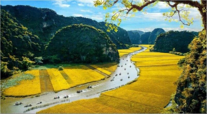 Hanoi: Hoa Lu - Trang An - Mua Cave, Buffet Lunch & Cycling - Hoa Lu Ancient Capital