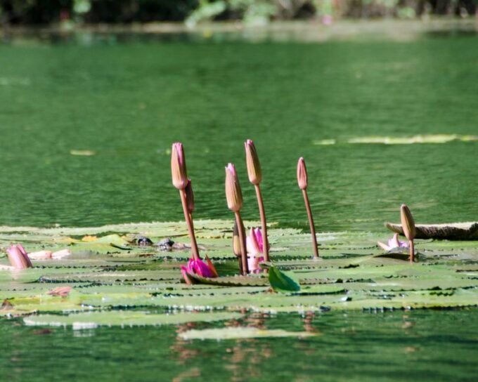 Hanoi: Hoa Lu, Trang An/Tam Coc & Mua Cave With Small Group - Customer Experiences and Ratings