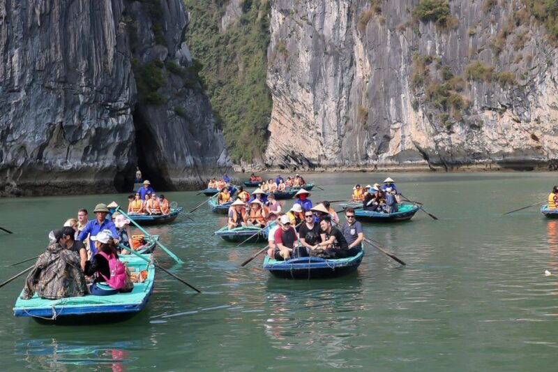 Hanoi: Islands & Caves Ha Long Cruise With Lunch & Kayaking - Fresh Seafood Lunch on Board