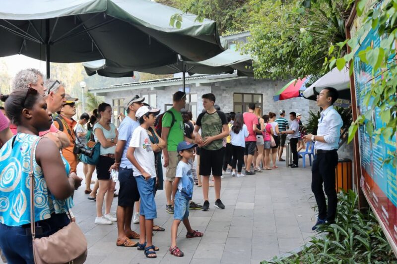 Hanoi: Islands & Caves Ha Long Cruise With Lunch & Kayaking - Vegetarian and Special Request Meals