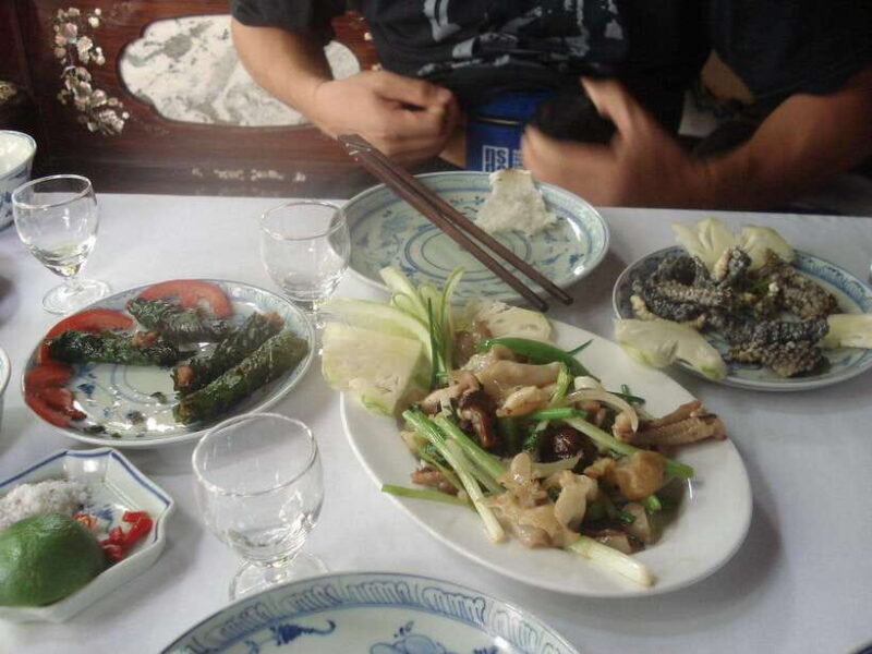 Hanoi: Le Mat Snake Village Tour With 10 Dishes - Exploring Snake Cuisine and Local Culture