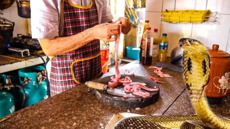 Hanoi: Le Mat Snake Village Tour With 10 Dishes - Unique Snake Wine Experience