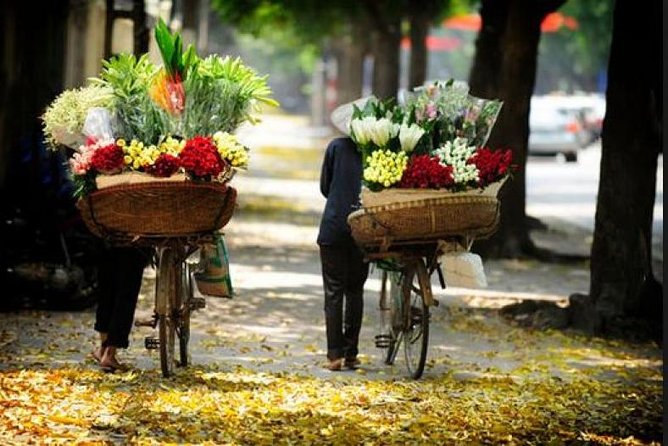 Hanoi Local Market Discovery - Key Points