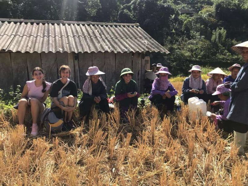 Hanoi: Luxury 3-Day Ha Giang Loop EasyRider Motorbike Tour - The Ha Giang Loop: Discovering Northern Vietnams Stunning Landscapes