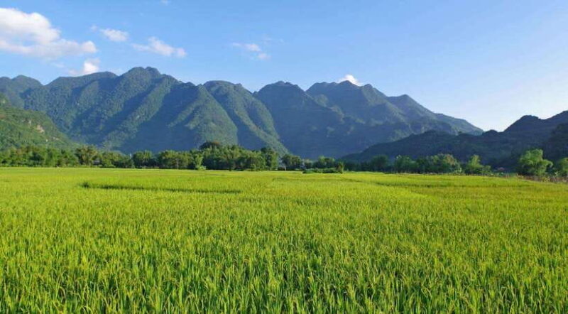 Hanoi: Mai Chau Valley Day Trip With Lunch and Bike Ride - Recommendations for Participants