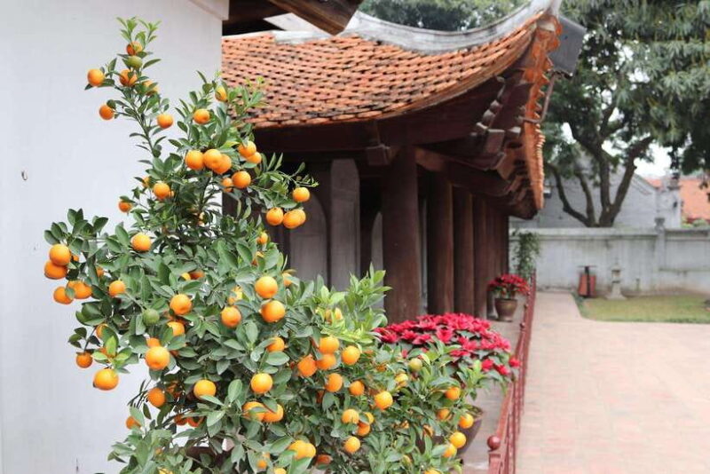 HANOI: MOTORBIKING TO TRAIN STREET AND TEMPLE OF LITERATURE - Experiencing the Thrill of Hanoi Train Street