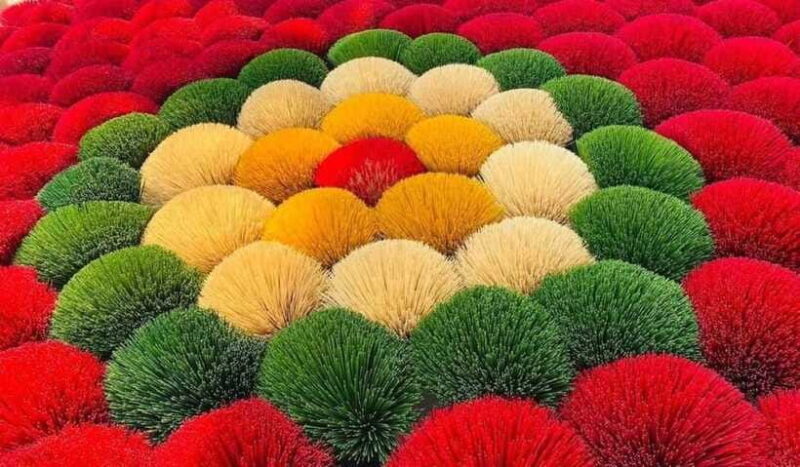 Hanoi: Ninh Binh Day Trip With Incense Village Tour - Included and Excluded Services