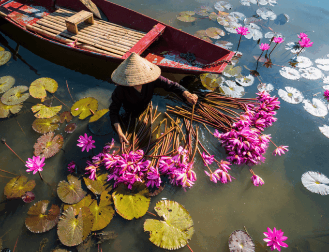 Hanoi: Ninh Binh, Hoa Lu, Tam Coc, Trang-an Private Day-Tour - Scenic Landscape Experiences