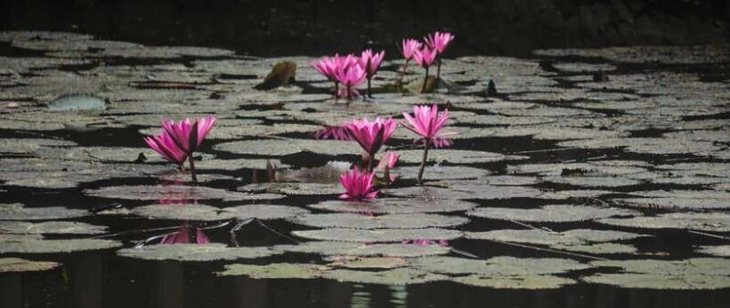 Hanoi: Ninh Binh, Tam Coc, Mua Cave & Hoa Lu With Cycling - Exploring Hoa Lu and Cycling