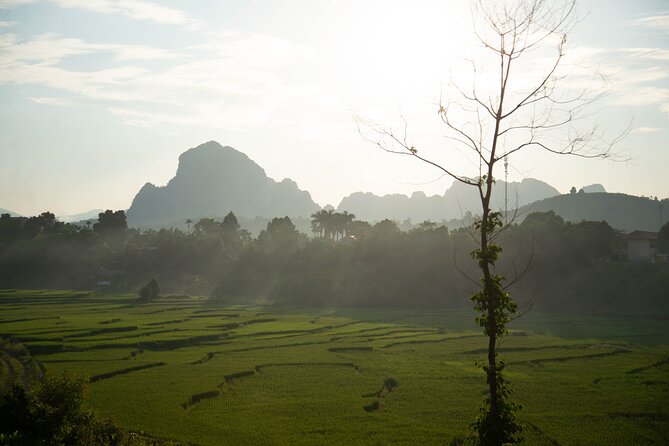 Hanoi Paragliding Combo: Tandem Paraglide + Course (Full-Day) - Customer Reviews and Ratings
