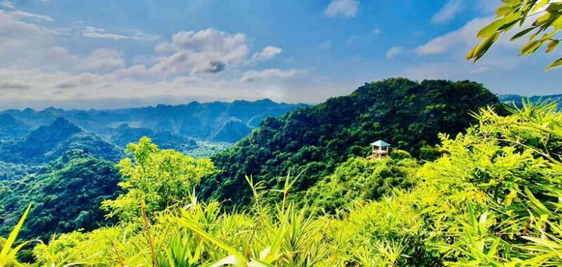 Hanoi: Pearl Island of Cat Ba 2-Day Cruise With Kayaking - Enjoying Water Activities and Local Experiences