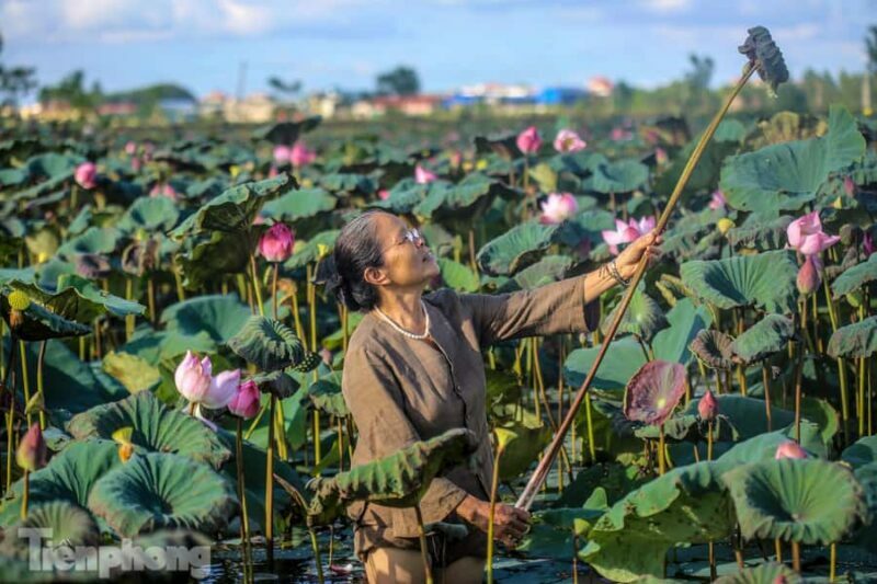 Hanoi Private Artisans Journey: Incense, Hat, Silk Villages - Return Journey and Reflection