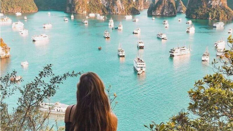 Hanoi: Private Ha Long Bay Full-Day & Choose Language Guide - Booking and Cancellation Policy