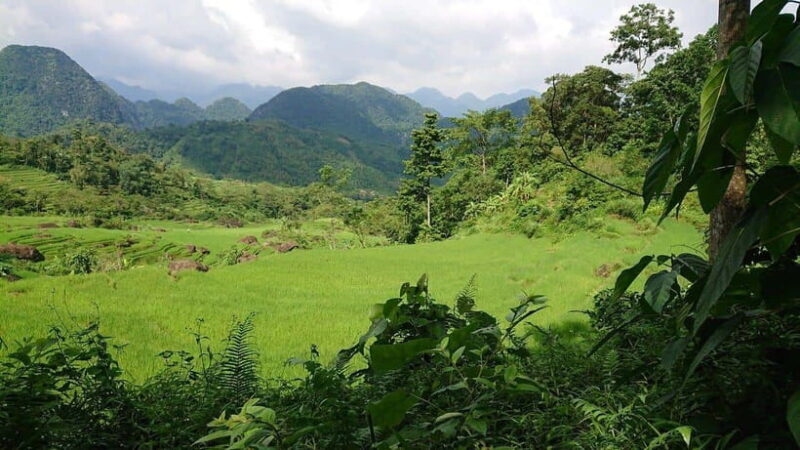 Hanoi Pu Luong Nature Reserve 2 Days 1 Night Tour - Frequently Asked Questions