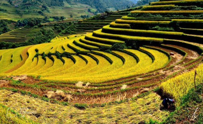 Hanoi - Sa Pa 2 Day Trip Ethnic Homestay Tour With Trekking - Frequently Asked Questions