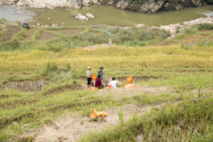 Hanoi - Sa Pa 2 Day Trip Ethnic Homestay Tour With Trekking - Recap