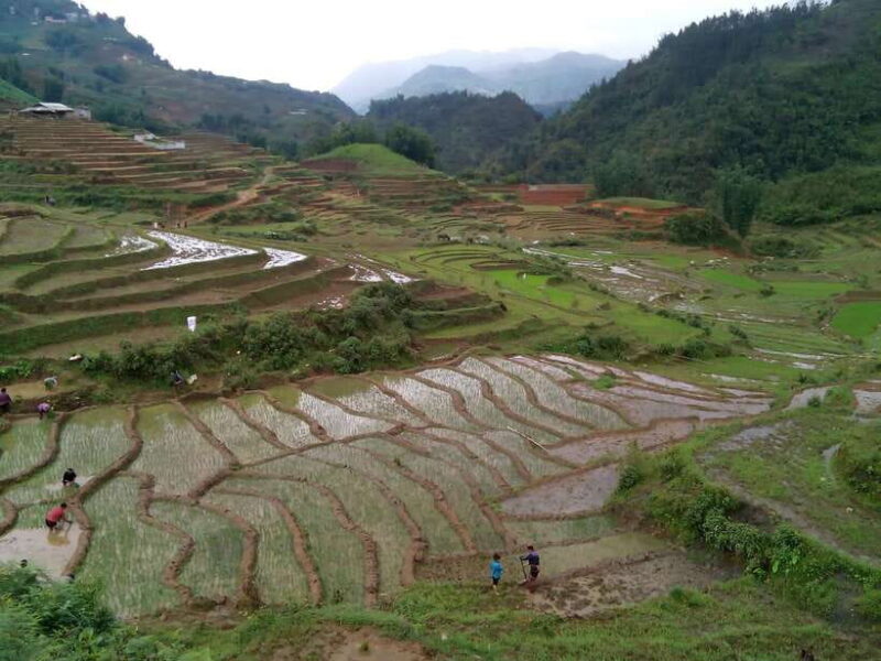 Hanoi- Sapa: 3-Day Homestay Trek to Explore Ethnic Cultures - Customer Reviews and Ratings