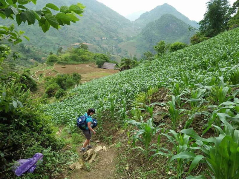 Hanoi- Sapa: 3-Day Homestay Trek to Explore Ethnic Cultures - Cultural Immersion in Ta Van and Ban Ho