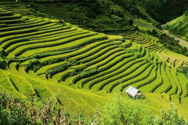 Hanoi: Sapa 3 Days 2 Nights Lao Chai- Ta Van Trekking Tour - Key Points