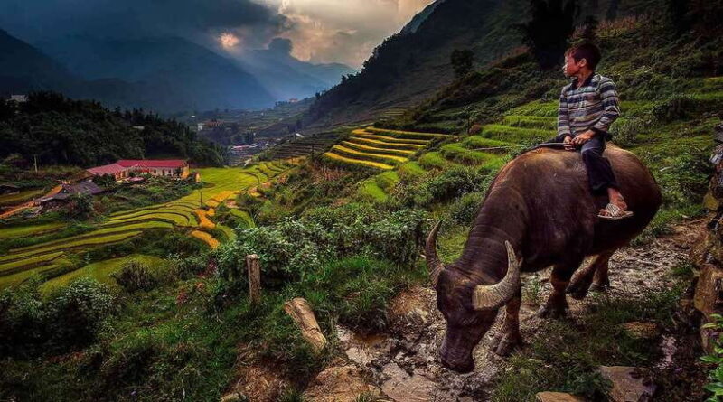 Hanoi: Sapa, Cat Cat, Fansipan and Moana 3 Day 2 Night Trip - Customer Feedback