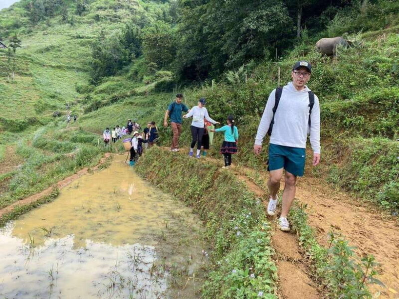 Hanoi: Sapa Highlights 2-Day Trekking Tour - Tour Overview