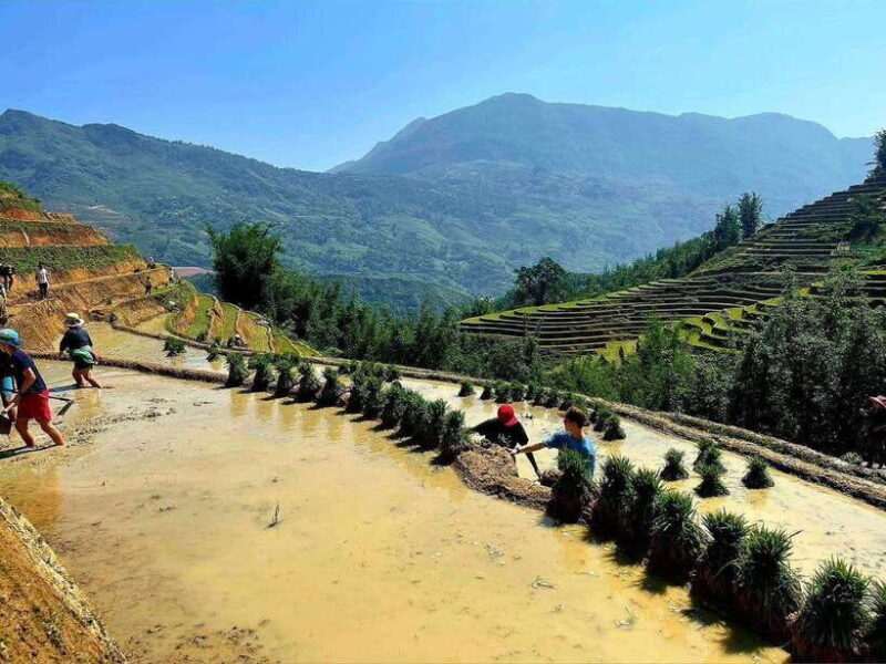 Hanoi: Sapa Highlights 2-Day Trekking Tour - Accommodation Options
