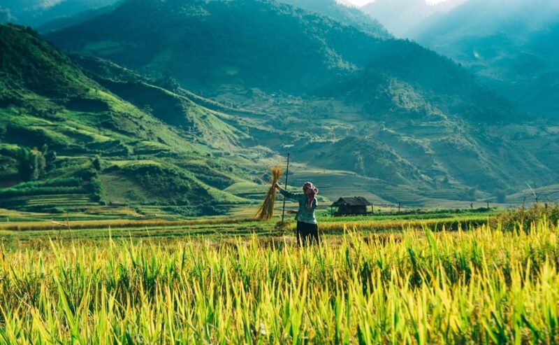 Hanoi: Sapa Trekking 2 Days 1 Night - VIP Bus From Hanoi - Key Points